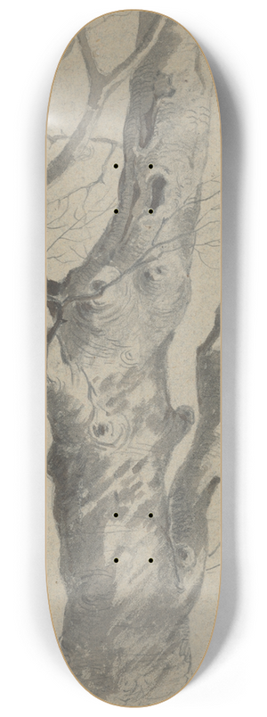 Friedrich Carl von Scheidlin - Study of a Knotted Tree Trunk 8.25 inch art skate deck