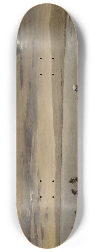 Frank Buchser - Passage at the Platte River 8.25 inch art skate deck