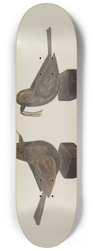 Frank Budash - Toy Birds 8.25 inch art skate deck
