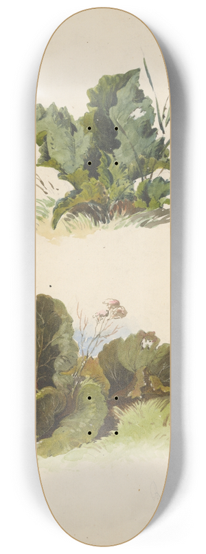 Friedrich Carl von Scheidlin - Study of Broadleaved Plants 8.25 inch art skate deck