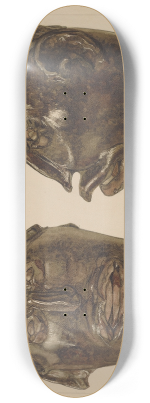 Frank Fumagalli - Grotesque Jug 8.25 inch art skate deck