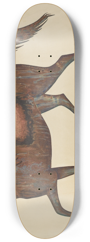 Frank Gray - Weather Vane 8.25 inch art skate deck