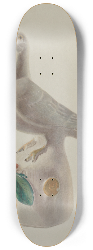 Franklyn Syres - Dove 8.25 inch art skate deck