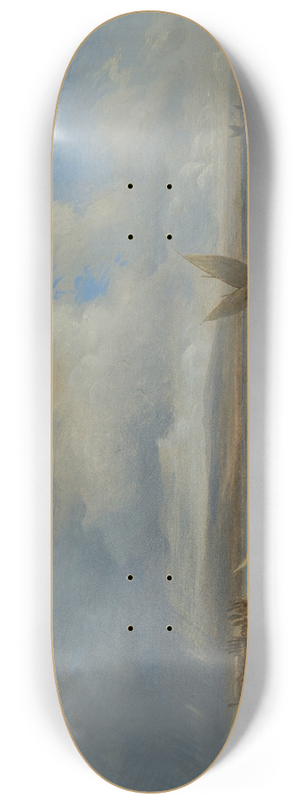 Franois Diday - The Storm 8.25 inch art skate deck