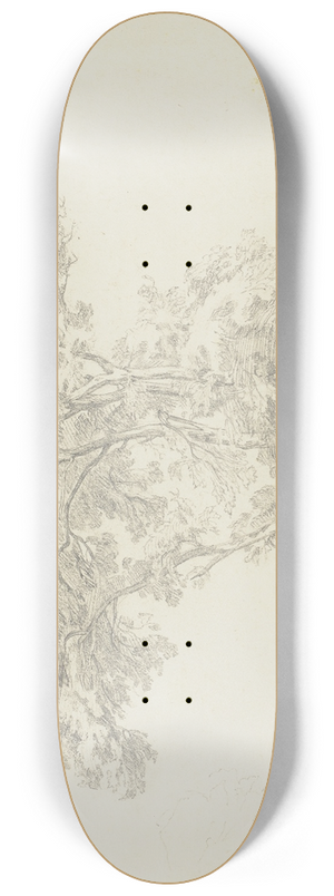 Friedrich Metz - Group of trees 8.25 inch art skate deck