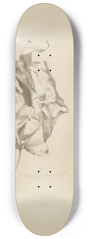 Friedrich von Olivier - Shriveled Leaves 8.25 inch art skate deck