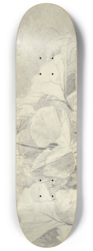 Fritz Bamberger - Coltsfoot 8.25 inch art skate deck