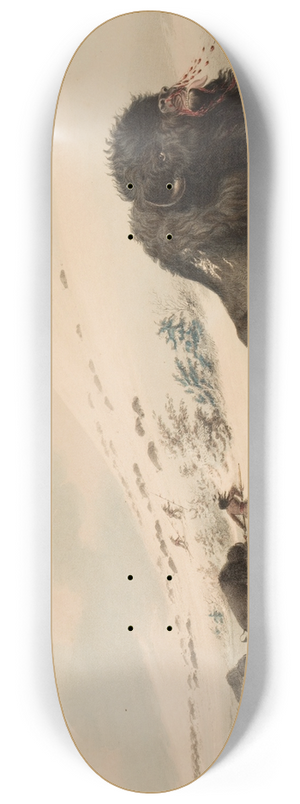 George Catlin - Buffalo Bull, in Snow Drift 8.25 inch art skate deck