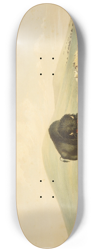 George Catlin - Buffalo Hunt; White Wolves Attacking Buffalo Bull 8.25 inch art skate deck