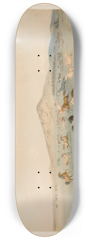 George Catlin - Wild Horses at Play 8.25 inch art skate deck