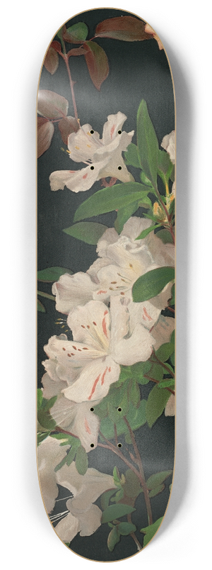 George Cochran Lambdin - Azaleas and Roses 8.25 inch art skate deck