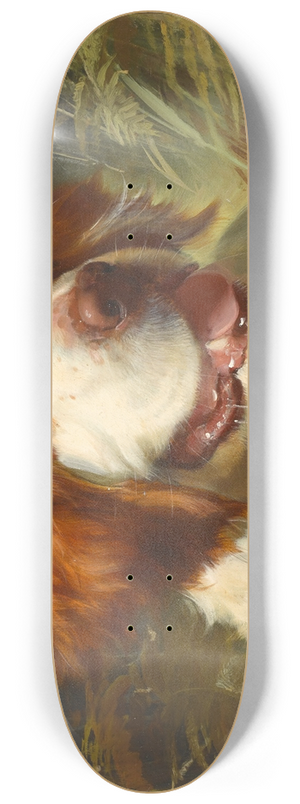 George Earl - A Brittany spaniel 8.25 inch art skate deck