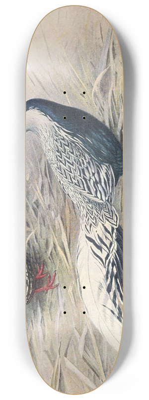 George Edward Lodge - Hainan Silver Kaleege 8.25 inch art skate deck