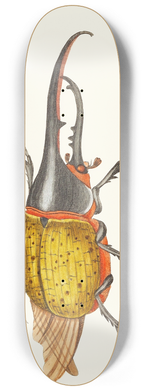 George Shaw - SCARABEUS HERCULES 8.25 inch art skate deck