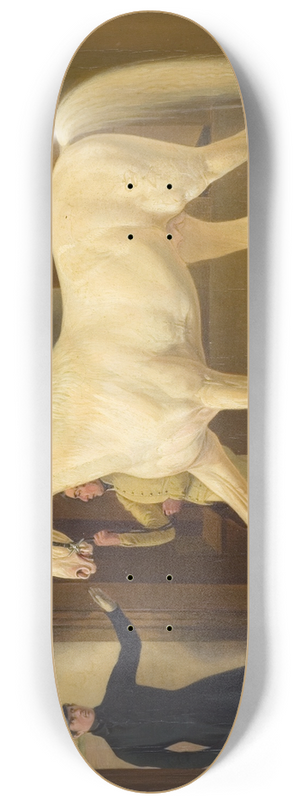 Fritz Thomsen - Hother 8.25 inch art skate deck