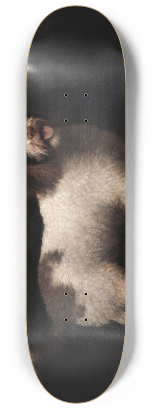George Stubbs - Water Spaniel 8.25 inch art skate deck