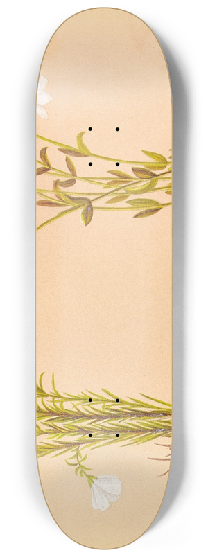Georgina Burne Hetley - Linum Monogynum 8.25 inch art skate deck