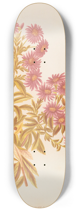 Georgina Burne Hetley - Olearia Semidentata 8.25 inch art skate deck