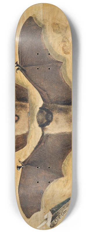 Gabriel Orm - Trompe loeil Two bats nailed to a timber wall, knife and quill pen 8.25 inch art skate deck