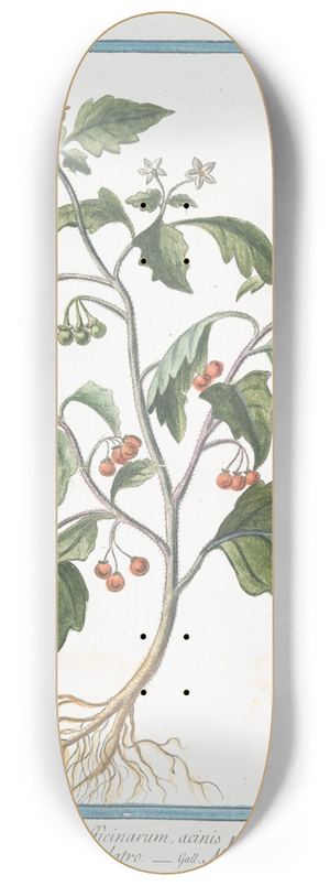 Giorgio Bonelli - Solanum Officinarum, acinis puniceis  Solatro  Morelle 8.25 inch art skate deck