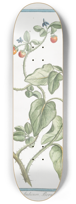 Giorgio Bonelli - Solanum Spinosum, Indicum, Borraginis flore 8.25 inch art skate deck