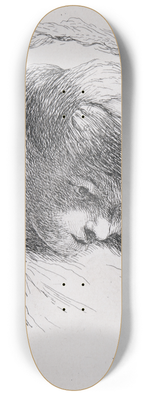 Giovanni Benedetto Castiglione - Young Man Looking Down 8.25 inch art skate deck