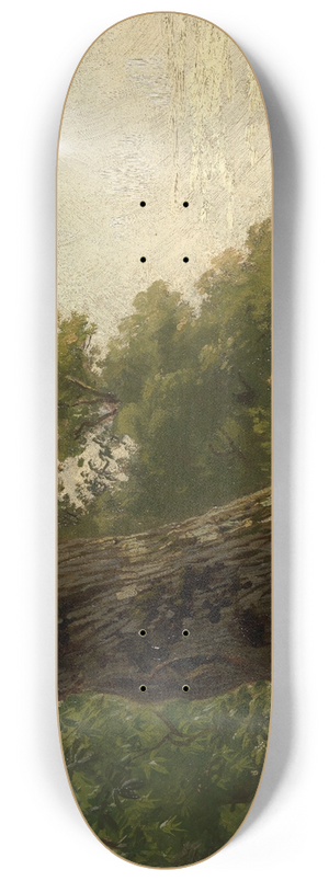 Gustav Osterroht - Baumstudie 8.25 inch art skate deck