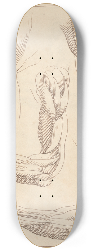 Hamlet Winstanley - Anatomical Studies of Arms 8.25 inch art skate deck