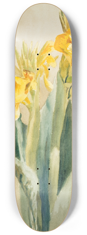 Hannah Borger Overbeck - Cana 8.25 inch art skate deck