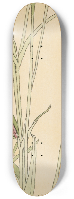 Hannah Borger Overbeck - Corn Cockle 8.25 inch art skate deck