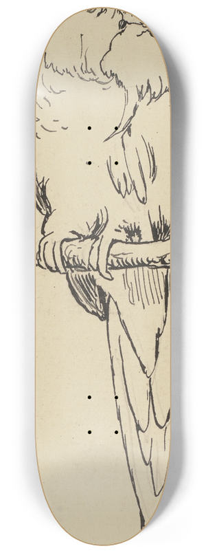 Hans Thoma - Papagei 8.25 inch art skate deck