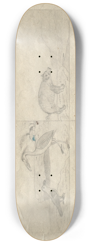 Hans Thoma - Sketchbook 8.25 inch art skate deck