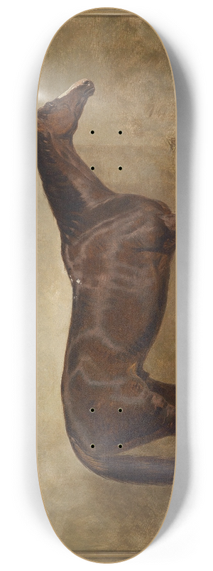Harald R Hall - Prince Charlie 8.25 inch art skate deck