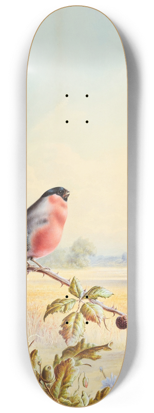 Harry Bright - Summer  A Pair of Bullfinch 8.25 inch art skate deck