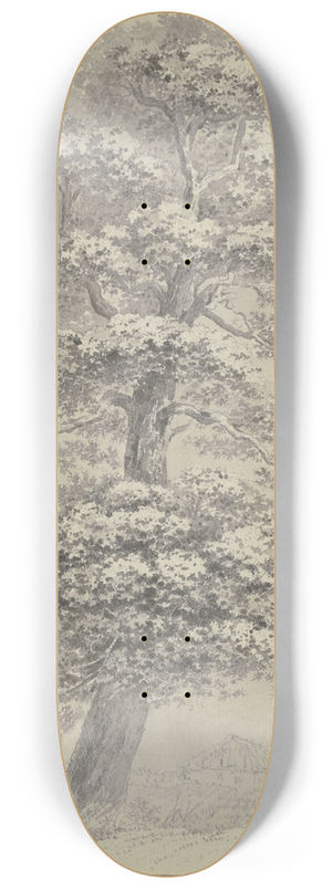 Heinrich Rieter - Oak trees 8.25 inch art skate deck
