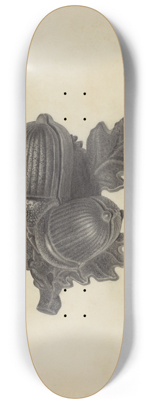 Helen Hobart - Pin Tray 8.25 inch art skate deck