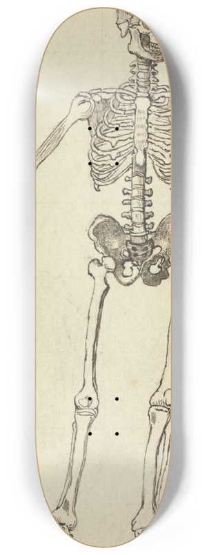 George Augustus Sala - Drawing of a Skeleton 8.25 inch art skate deck George Augustus Sala - Drawing of a Skeleton 8.25 inch art skate deck