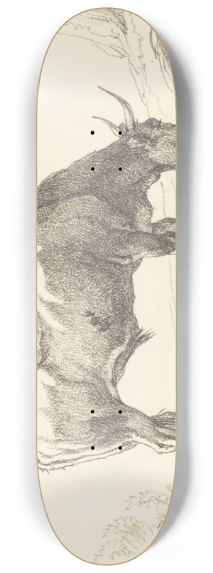 Hendrik Voogd - A Young Bull Grazing 8.25 inch art skate deck