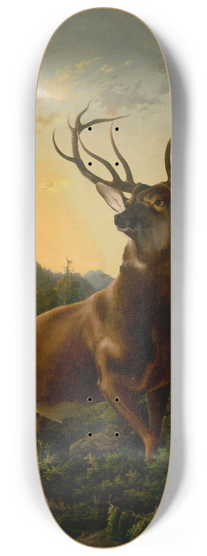 Alexander Brodszky - Deer in Forest Landscape 8.25 inch art skate deck