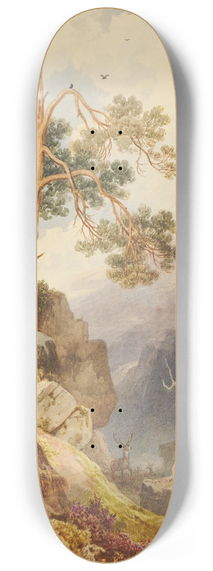 Henry Gastineau - Killiecrankie Pass 8.25 inch art skate deck