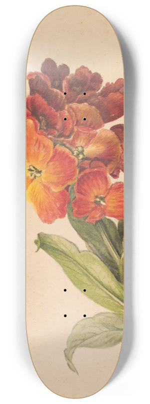 Henryka Beyer - Gazka laku 8.25 inch art skate deck