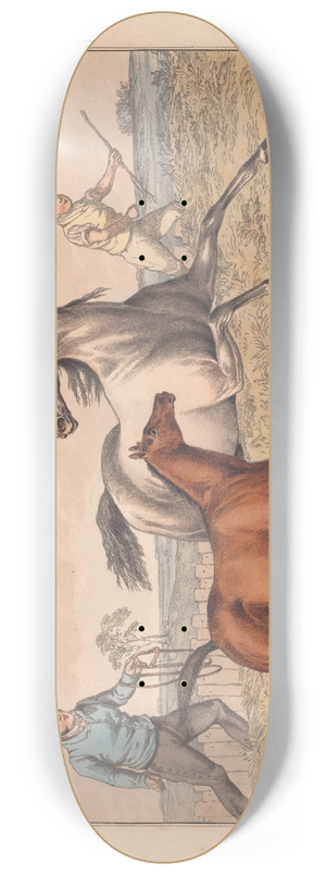 Henry Thomas Alken - The Seven Ages of the Horse 8.25 inch art skate deck