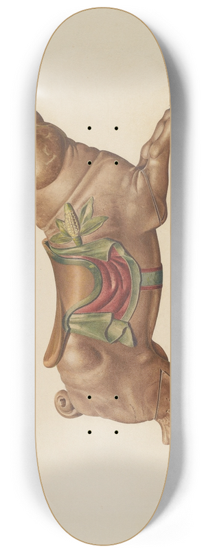 Henry Tomaszewski - Carousel Pig 8.25 inch art skate deck