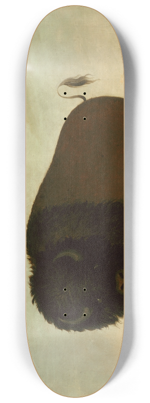 George Catlin - Buffalo Bull, Grazing on the Prairie 8.25 inch art skate deck George Catlin - Buffalo Bull, Grazing on the Prairie 8.25 inch art skate deck