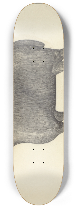 Herman Bader - Weather Vane 8.25 inch art skate deck