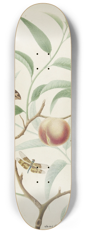 Hermanus de Wit - Perzik aan een tak met twee uitheemse vlinders en een libel 8.25 inch art skate deck