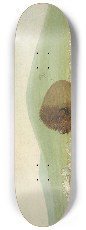 George Catlin - Wounded Buffalo Bull Surrounded by White Wolves 8.25 inch art skate deck George Catlin - Wounded Buffalo Bull Surrounded by White Wolves 8.25 inch art skate deck
