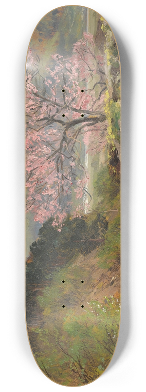 Hugo Darnaut - Spring 8.25 inch art skate deck