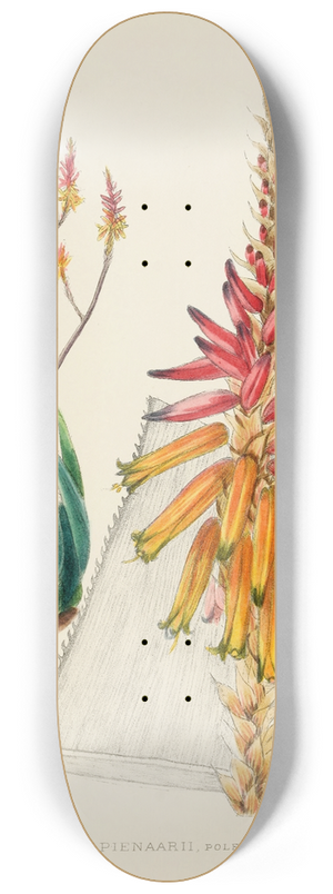 Illtyd Buller Pole-Evans - Aloe Pienaarii 8.25 inch art skate deck
