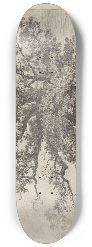 Jacob George Strutt - The Great Oak at Fredville 8.25 inch art skate deck